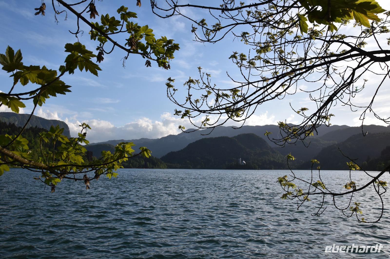 271 Bleder See, Insel mit Wallfahrtskirche