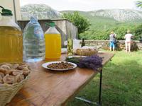 Singlereise Kroatien - Lavendelernte