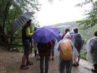 Singlereise Kroatien - Nationalpark Plitwitzer Seen