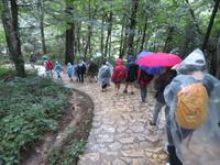 Singlereise Kroatien - Nationalpark Plitwitzer Seen