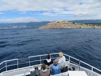 Singlereise Kroatien - Bootsfahrt Insel Krk