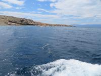 Singlereise Kroatien - Bootsfahrt Insel Krk