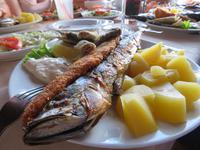 Singlereise Kroatien - Bootsfahrt Insel Krk