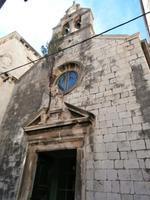 Dubrovnik Konifere uralt