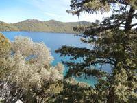 auf der Insel Mljet