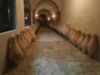 Weingut Matusko Winery in Potomje