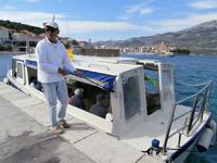 Korcula Bootstour zu den Inseln Lumbarda, Badija und Vrnik