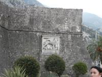 Kotor