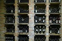 Weintal Vinodol – Bei der Familie Pavlomir