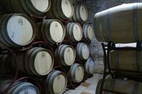 Weintal Vinodol – Bei der Familie Pavlomir