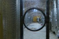 Weintal Vinodol – Bei der Familie Pavlomir