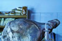 Weintal Vinodol – Bei der Familie Pavlomir