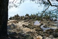 Wanderung an der Küste entlang von Malinska bis Njivice