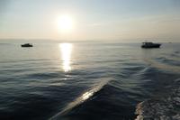 Bootsfahrt in der Kvarner Bucht