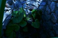 Ausflug nach Fuzine – Besuch der Höhle Vrelo