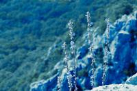 Die Slipica – Aussichtspunkt über die Kvarner Bucht auf  446 Meter Höhe