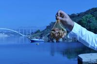 Ehemalige Fähranlegestelle – Leckere getrocknete Feigen