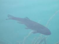 Nationalpark Plitwitzer Seen