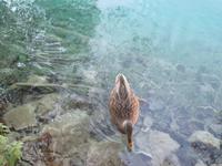 Nationalpark Plitwitzer Seen