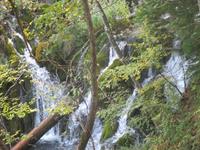 Nationalpark Plitwitzer Seen