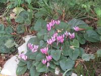 Nationalpark Plitwitzer Seen