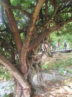 Nationalpark Krka-Wasserfälle