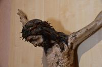 098 Kotor, Sankt-Tryphon-Kathedrale, Schatzkammer