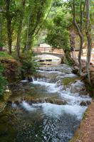 167 Krka-NP
