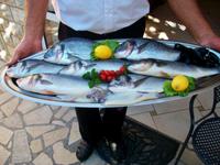 Mittagessen bei DIONIS