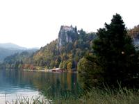 Bled