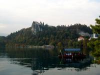 Bled