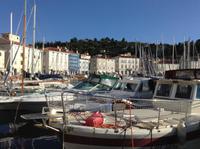 Hafen von Piran