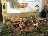 Besuch im Künstlerdorf Groznjan