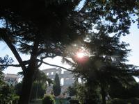 Amphitheater in Pula