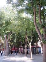 Flaniermeile in Pula