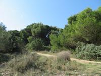 Start der Wanderung Kap Kamenjak