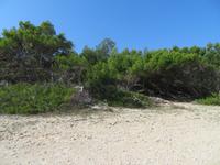 Mittagspause Wanderung Kap Kamenjak
