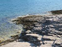 Felsen am Kap Kamenjak