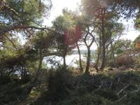 Wanderung durch die Wälder am Kap Kamenjak