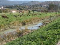 Blick auf den Mirna Fluss