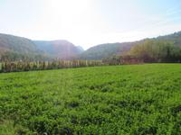 Natur am Mirna-Flusstal