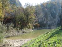 Natur am Mirna-Flusstal