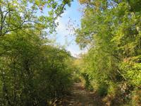 Wanderung durch das Mirna-Flusstal