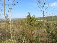 Ausblick vom Dorf Kotli