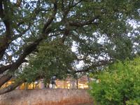 Umgebung unseres Hotels in Porec