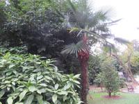 Gartenanlage in Opatija