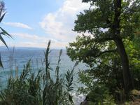 Blick auf dem Weg von Opatija nach Lovran