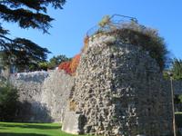 alte Stadtmauer von Porec