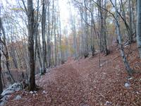 Herbstwanderung Ucka