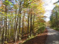 Abstieg vom Berg Ucka